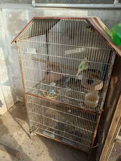 cage for sale
