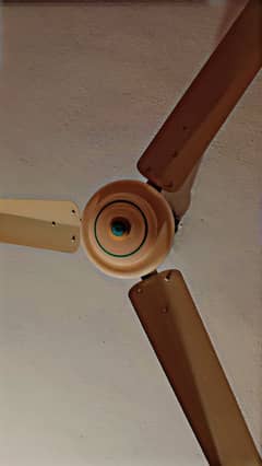 Ceiling