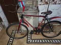 fonex