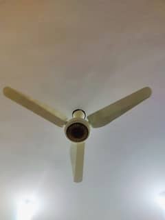 new fan 4 day use