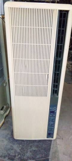 110v