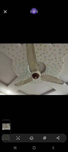 Royal Fans Ceiling 56"