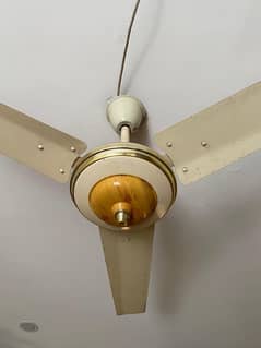 Ceiling Fan For sales