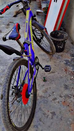 new cycle imported