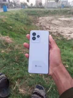 Dcode Bold 3