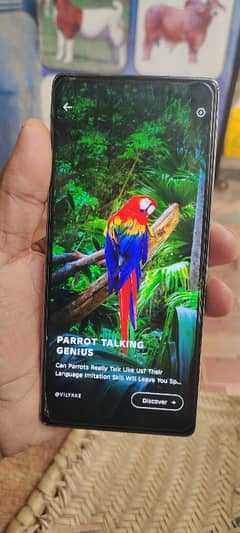 infinix