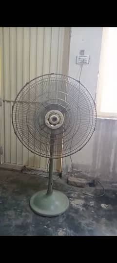 Zam Zam Floor Fan