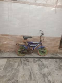 Baby cycle