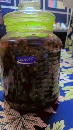 kikar ki phali ka achar "bhabool fali achar"