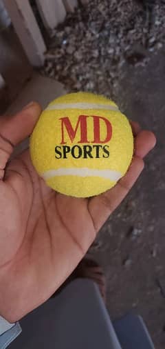 MD