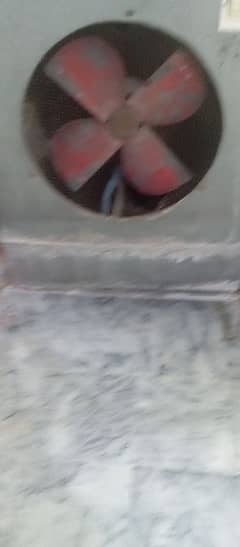 lohori cooler