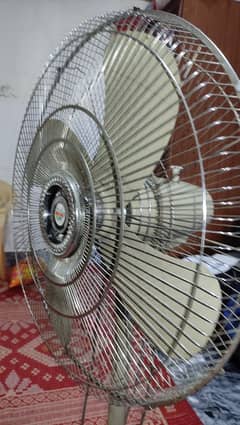 Fan