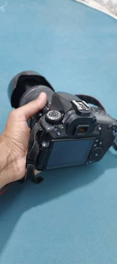 Canan 60D with 18-135