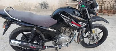 yamaha