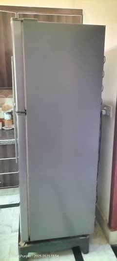 Fridge Hair Full Size