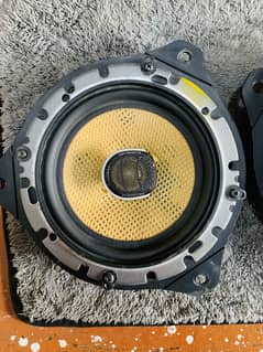Pioneer