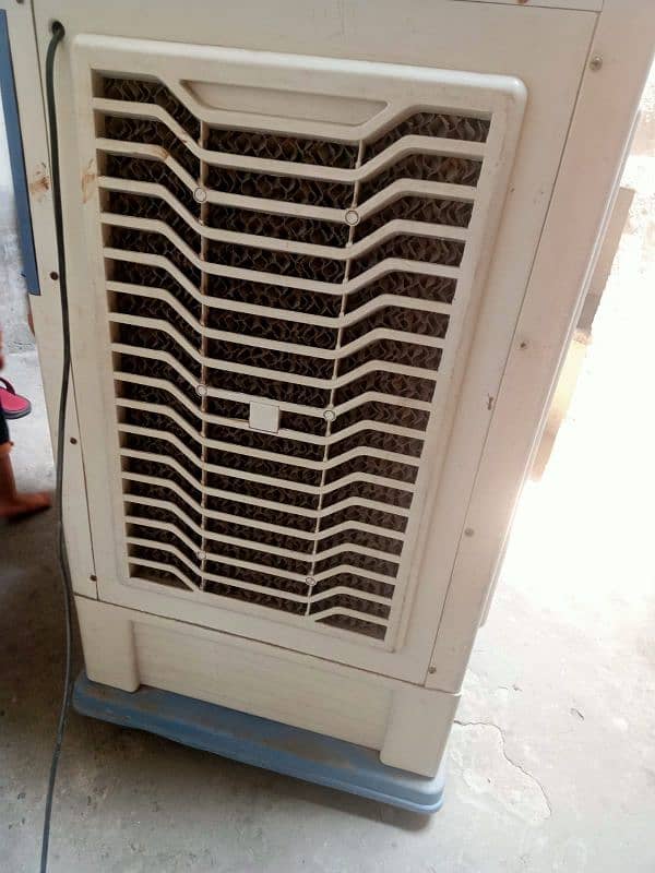one session use he neat condition 1