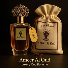 ameer ul UDD