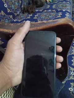 10/10 conditions all okay bettry 78 live tiktok ka nishan ha thora as