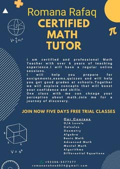 Online Mathematics Tutor