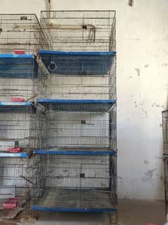 bird cages