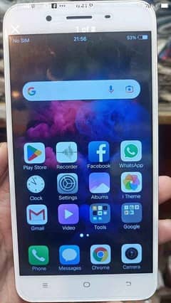 vivo