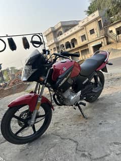 Yamaha YBR 125 2019 model