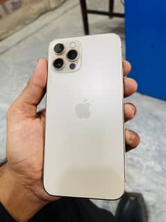 Iphone 12 Pro (Golden)