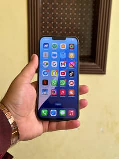 iphone 13promax 256gb sim working glitch