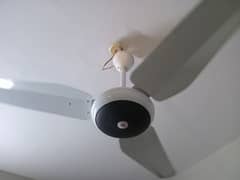 SK- FAN