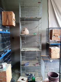use cage condition ok