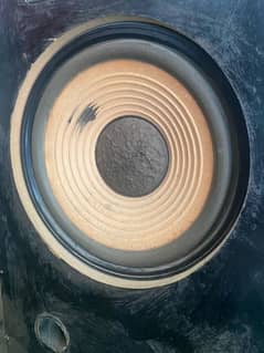 woofer speaker double exchange possible