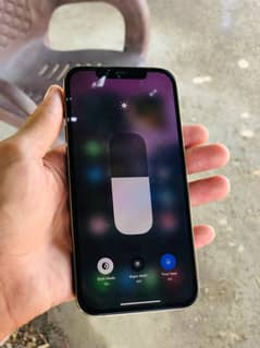 iPhone 12 Pro Max Factory Unlock