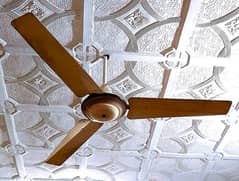 Ceiling Fan is For Sale in A Resonable Price & Good Condition