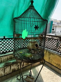 big parrot cage