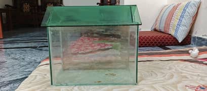 Aquarium for fishes