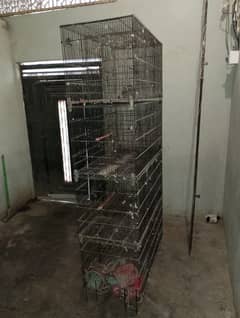 4 partition cage (Umer Cages)