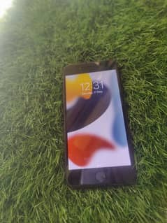 Iphone 7plus 256GB Official PTA