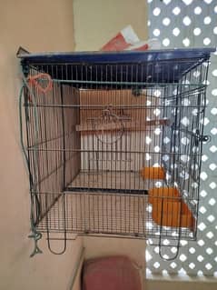 Bird cage