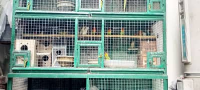 Cage