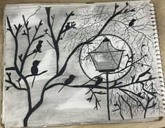 sketches