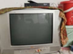 LG