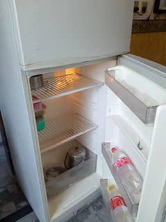 fridge LG no frost