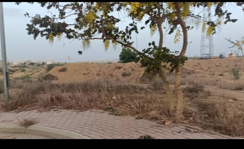 General Category Best Location Level Plot Available On Sale In Ali Block 3