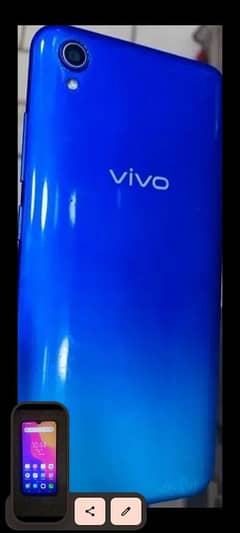 Vivo