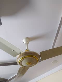 Ceiling fans for sale quantity=6