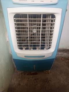 Cooler