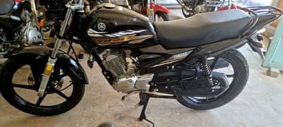 YBZDX 2022
