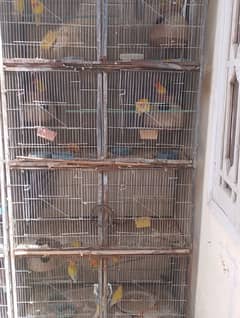 8 protion cage