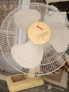 Royal brackit fan